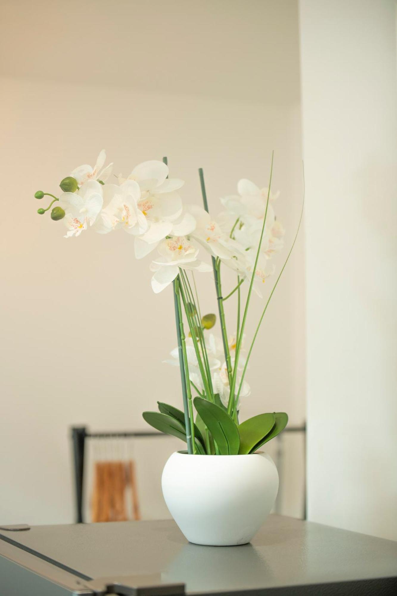 Apartmán Kasa Factory - Au Calme - Tv & Wifi Saint-Quentin  Exteriér fotografie